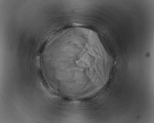 X0000116630598200912312201
