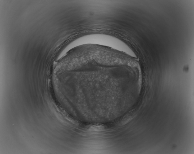 X0000116630599200912312201