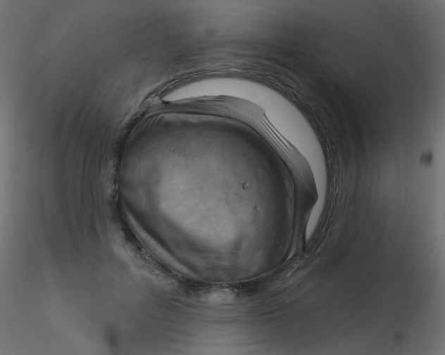 X0000116630600200912312201