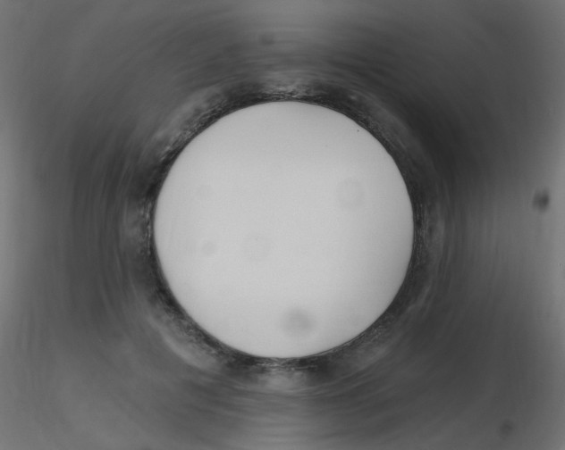 X0000116630601200912312201