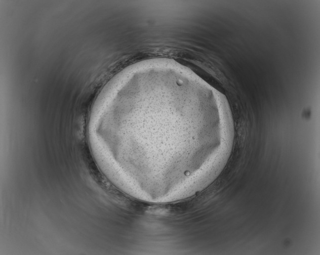 X0000116630602200912312201