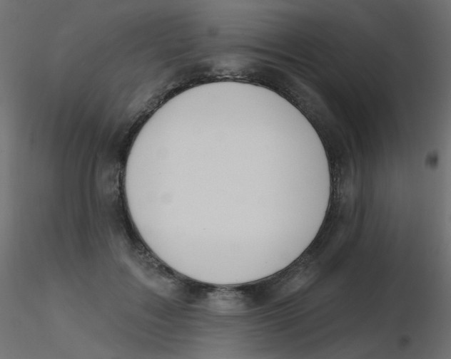 X0000116630603200912312201