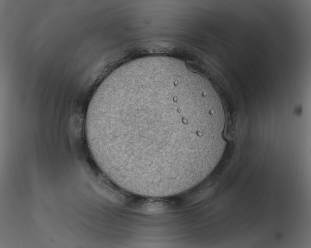 X0000116630604200912312201