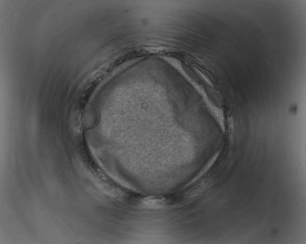 X0000116630606200912312201