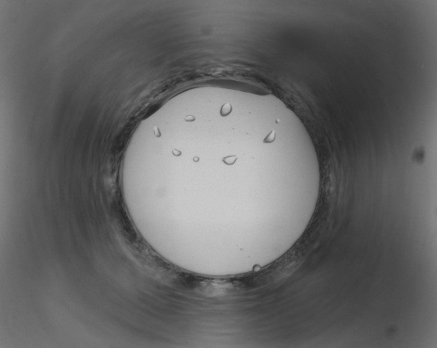 X0000116630607200912312201
