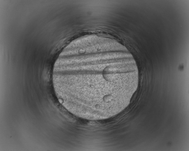 X0000116630608200912312201