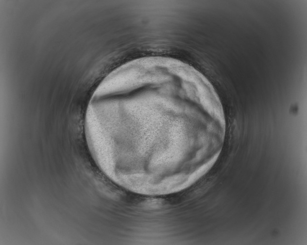 X0000116630609200912312201