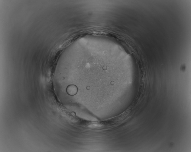 X0000116630610200912312201
