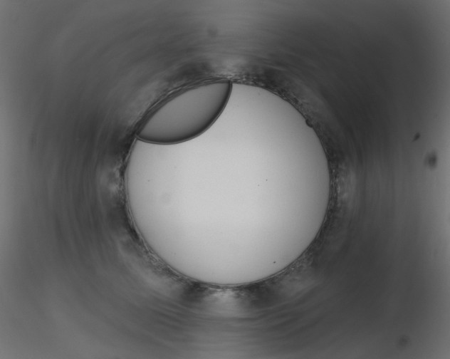 X0000116630611200912312201