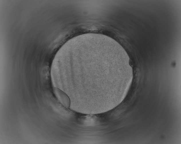 X0000116630612200912312201