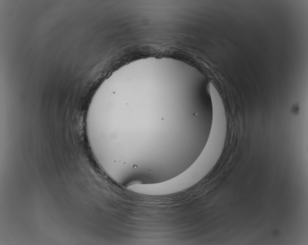 X0000116630613200912312201
