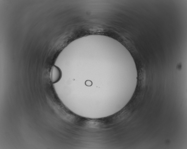 X0000116630614200912312201