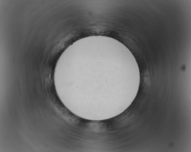 X0000116630615200912312201