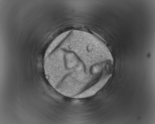 X0000116630616200912312201