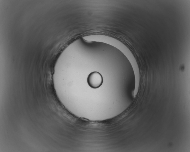 X0000116630617200912312201