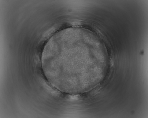 X0000116630618200912312201