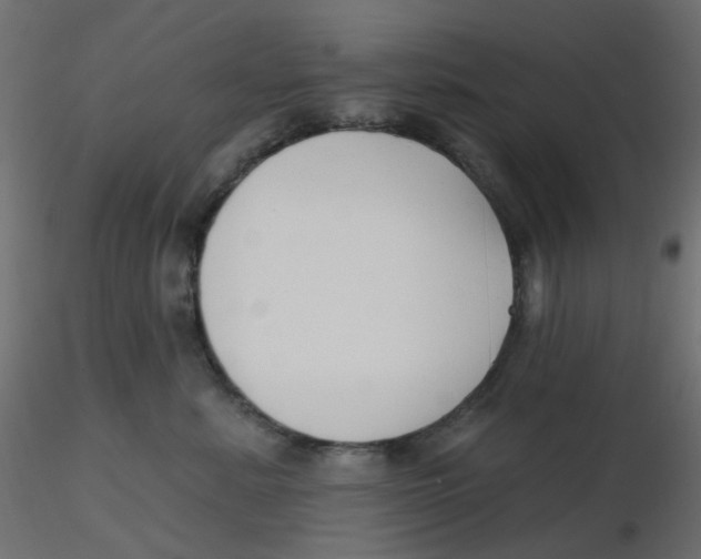 X0000116630619200912312201