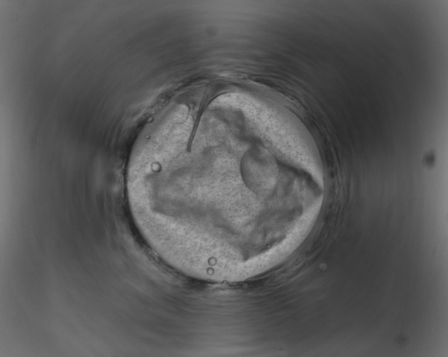 X0000116630620200912312201