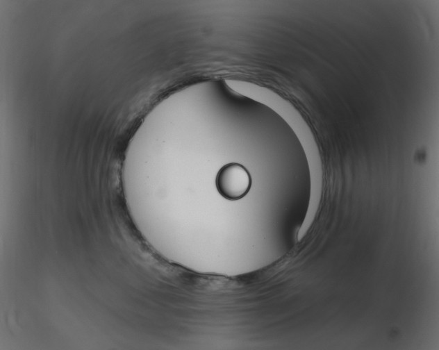 X0000116630621200912312201