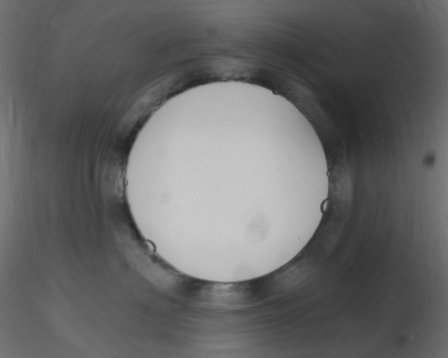 X0000116630622200912312201