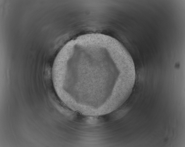 X0000116630623200912312201