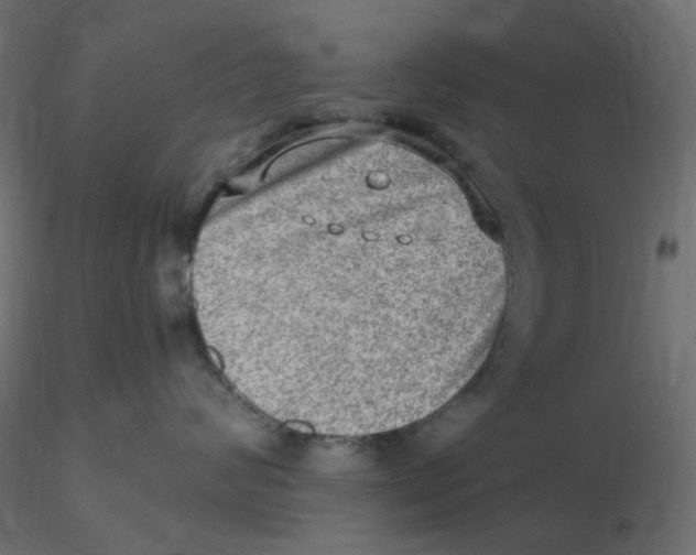 X0000116630624200912312201