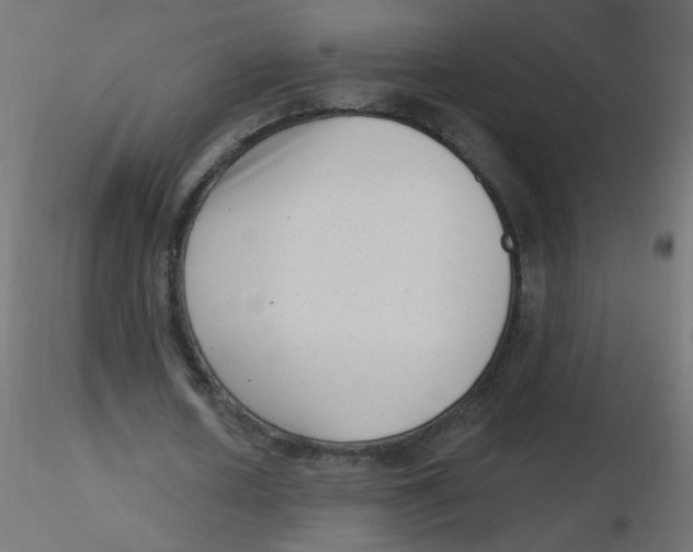 X0000116630626200912312200