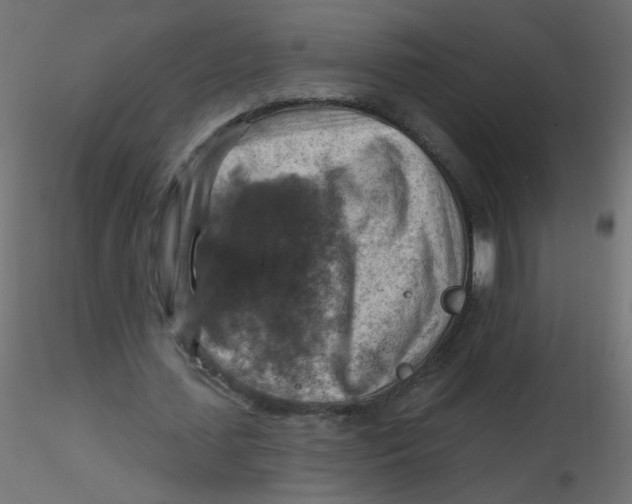 X0000116630627200912312200