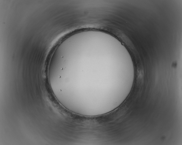 X0000116630628200912312200