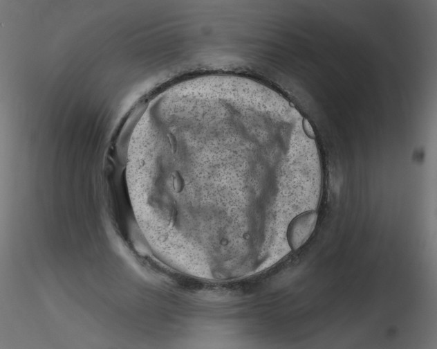 X0000116630630200912312200