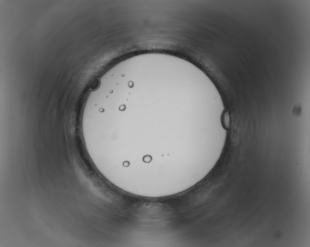 X0000116630631200912312200