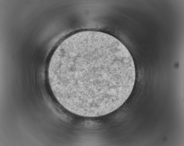 X0000116630632200912312200