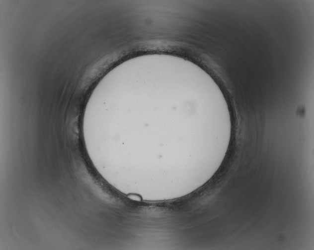 X0000116630633200912312200