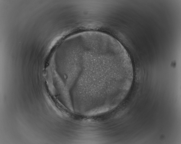 X0000116630634200912312200