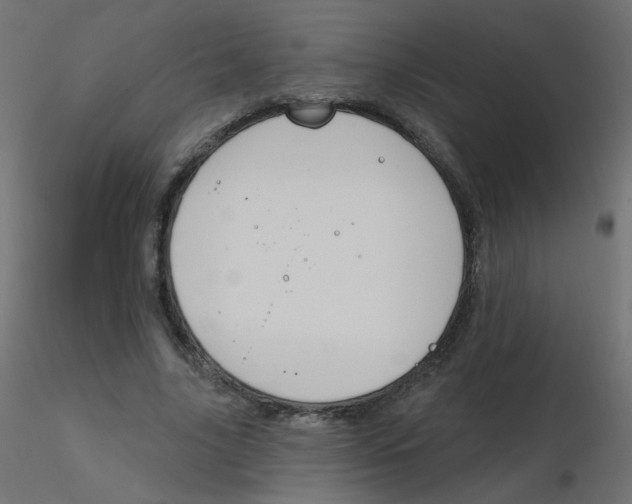 X0000116630635200912312200