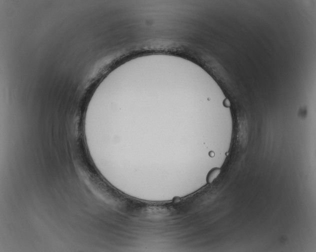 X0000116630636200912312200