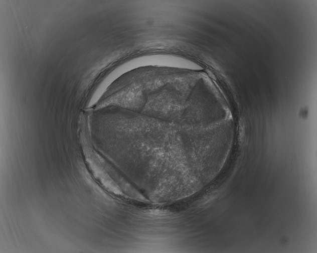 X0000116630637200912312200