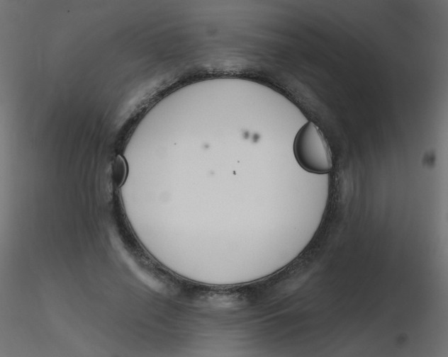 X0000116630638200912312200