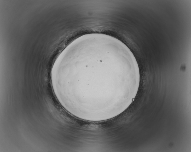 X0000116630639200912312200