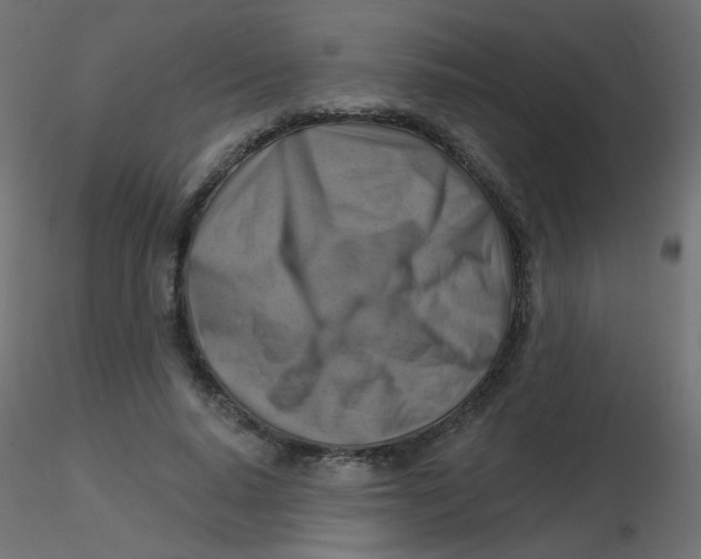 X0000116630640200912312200
