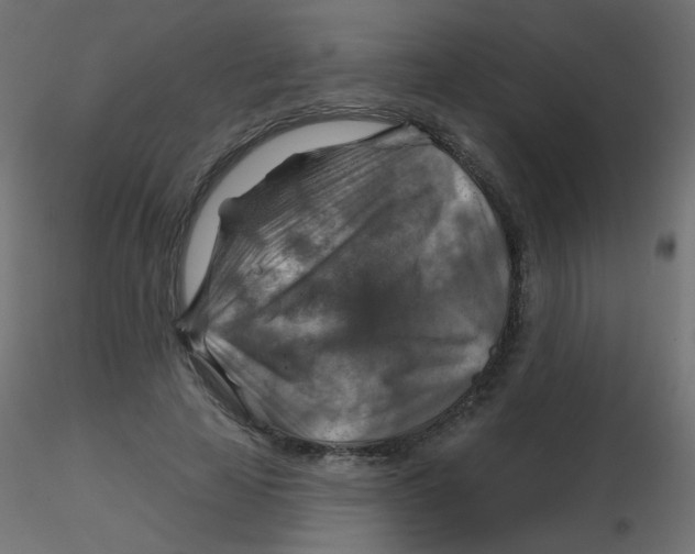 X0000116630641200912312200