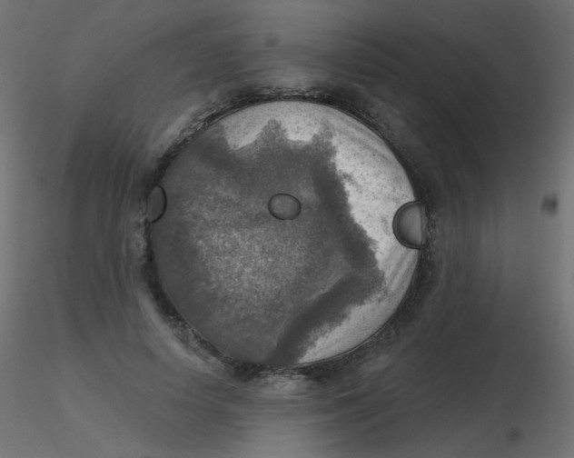 X0000116630642200912312200