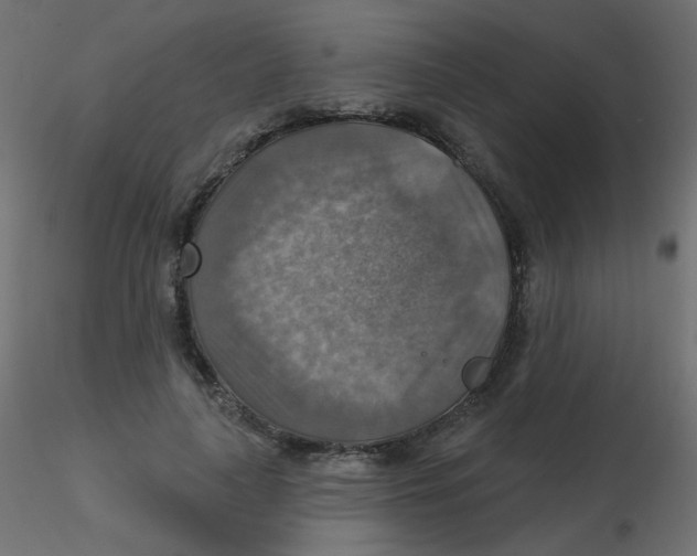 X0000116630643200912312200