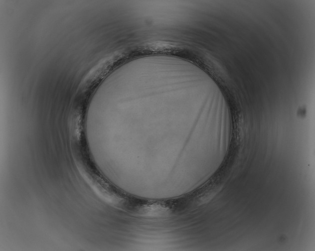 X0000116630644200912312200