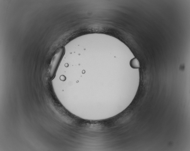 X0000116630645200912312200