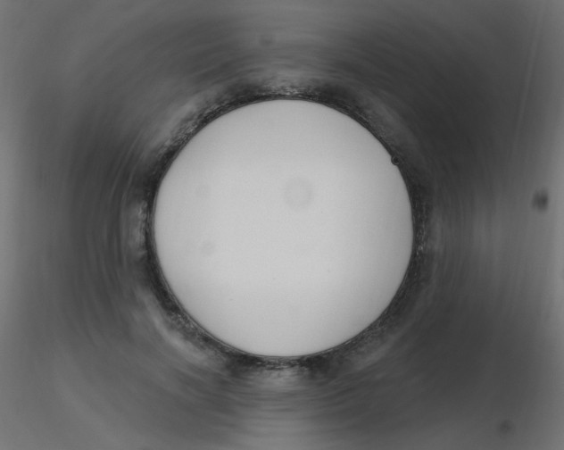 X0000116630646200912312200