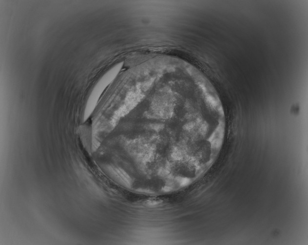 X0000116630647200912312200