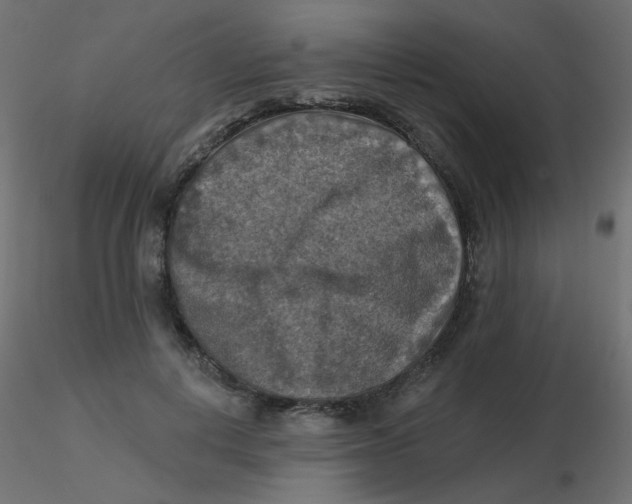 X0000116630648200912312201