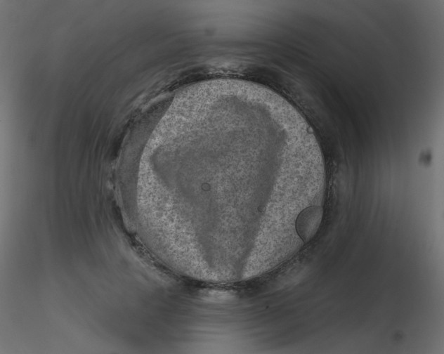 X0000116630649200912312201