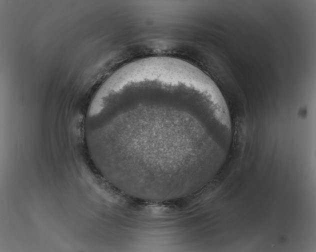 X0000116630650200912312201